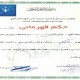 http://adonistranslation.com